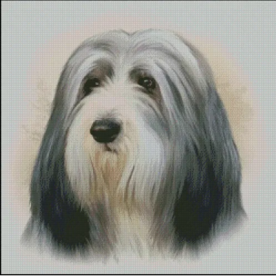 (image for) Bearded Collie
